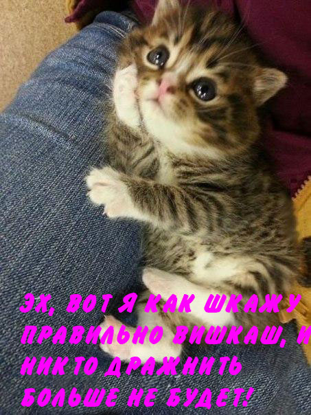 ������� - ���������. �����.