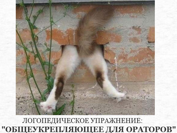 ���������� �������� ��� ��������