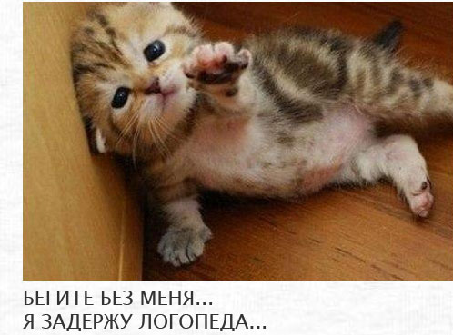 ������� ���� �������� ��� ��������