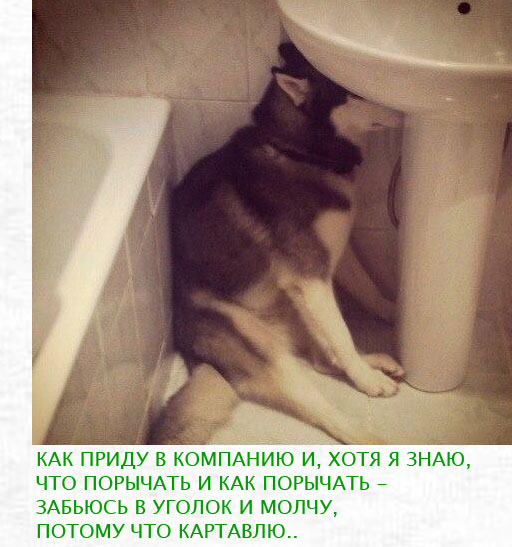 ������� ���� �������� ��� ��������