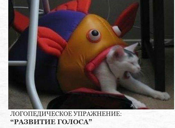 ���������� �������� ��� ��������