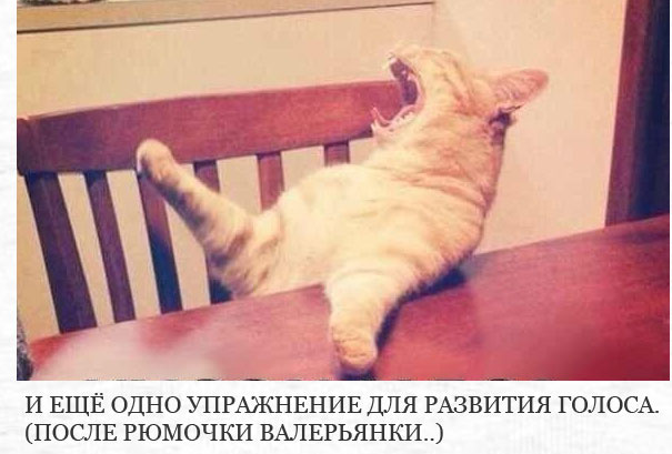���������� �������� ��� ��������