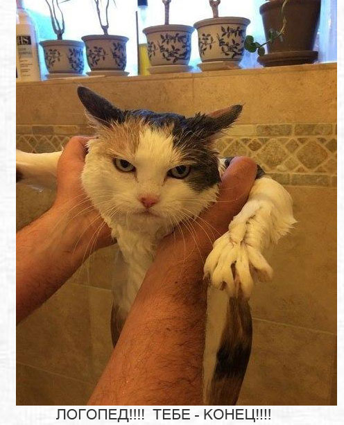 ������� ���� �������� ��� ��������