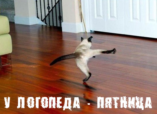 � �������� ��� �������� - �������!