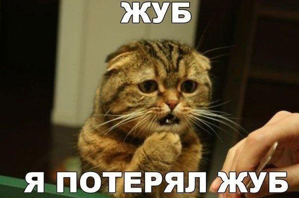 ������� ���� �������� ��� ��������. �����������