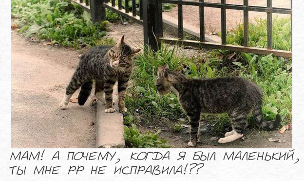 ������� ���� �������� ��� ��������