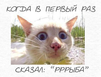 ������� ���������. ���� �.
