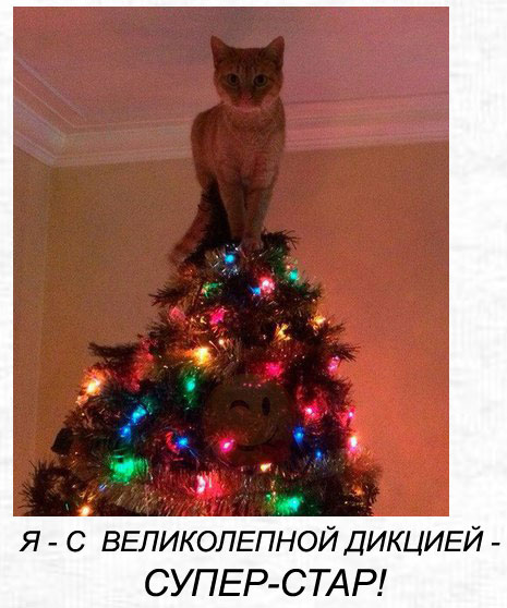 ������� ���� �������� ��� ��������