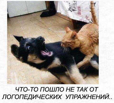 ������� ��� ��������. �������.