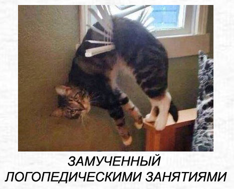 ���������� �������� ��� ��������