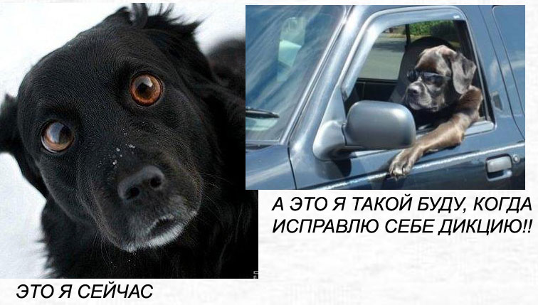 ������� ���� �������� ��� ��������