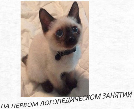 ������� ���� �������� ��� ��������